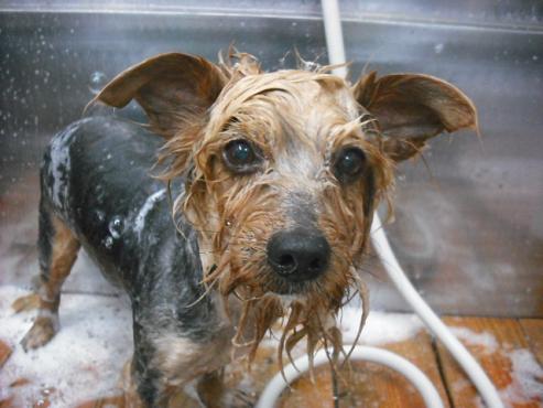 ファイル 88-3.jpg