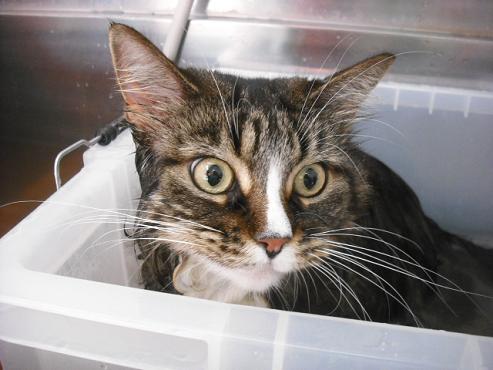 ファイル 880-2.jpg