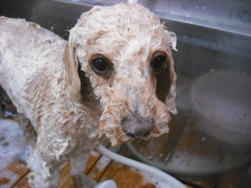 ファイル 881-2.jpg