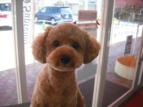 ファイル 882-1.jpg