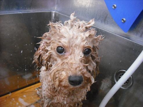 ファイル 882-2.jpg