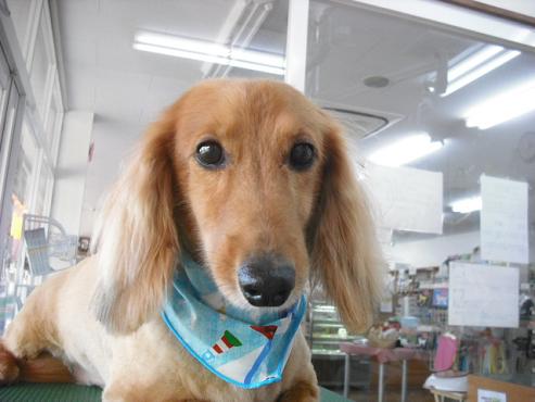 ファイル 883-1.jpg