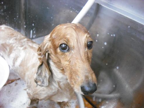 ファイル 883-2.jpg