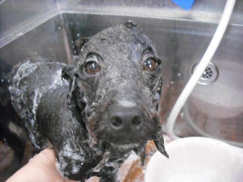 ファイル 884-2.jpg