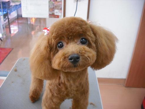 ファイル 885-1.jpg