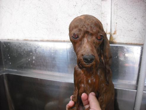 ファイル 885-2.jpg