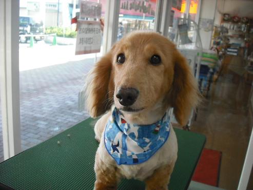 ファイル 886-1.jpg