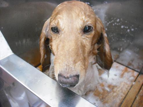 ファイル 886-2.jpg