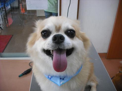 ファイル 887-1.jpg