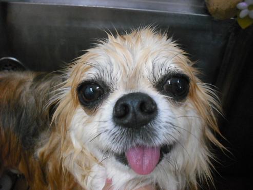 ファイル 887-2.jpg