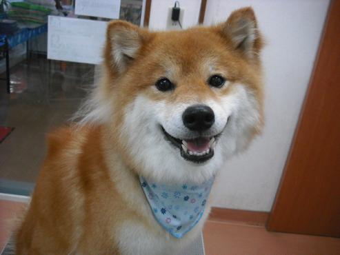 ファイル 888-1.jpg