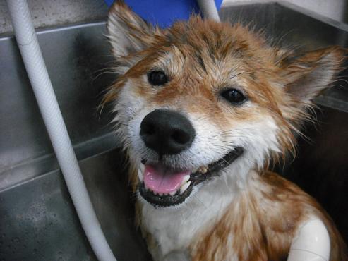 ファイル 888-2.jpg