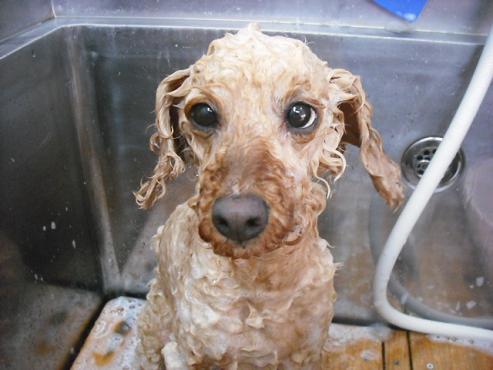 ファイル 889-2.jpg