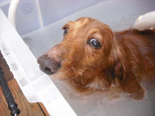 ファイル 89-3.jpg