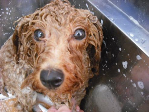 ファイル 891-3.jpg