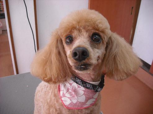 ファイル 892-1.jpg