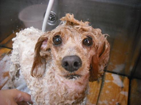 ファイル 892-3.jpg