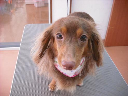 ファイル 893-1.jpg