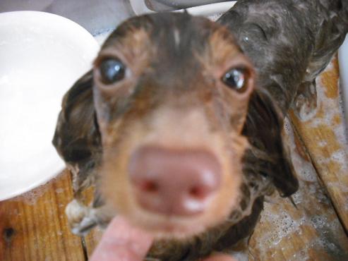 ファイル 893-2.jpg