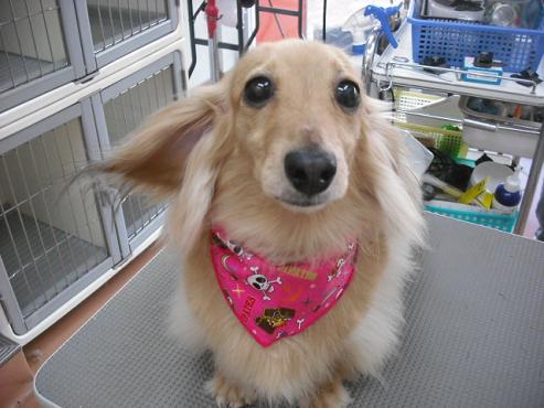 ファイル 895-1.jpg