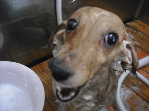 ファイル 895-3.jpg