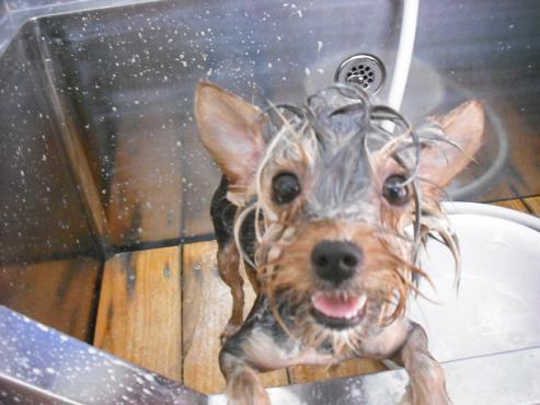 ファイル 896-2.jpg