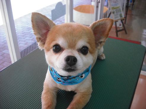 ファイル 897-1.jpg