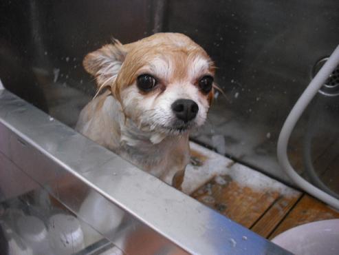 ファイル 897-2.jpg