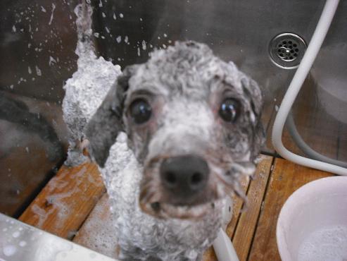 ファイル 898-2.jpg