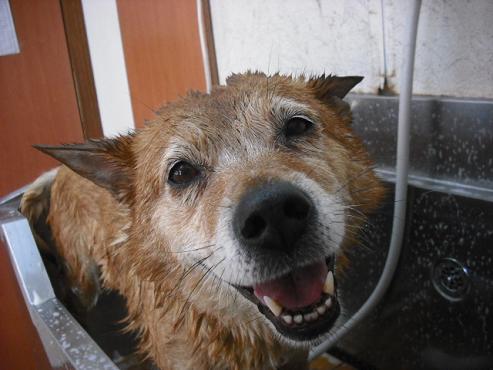 ファイル 899-3.jpg