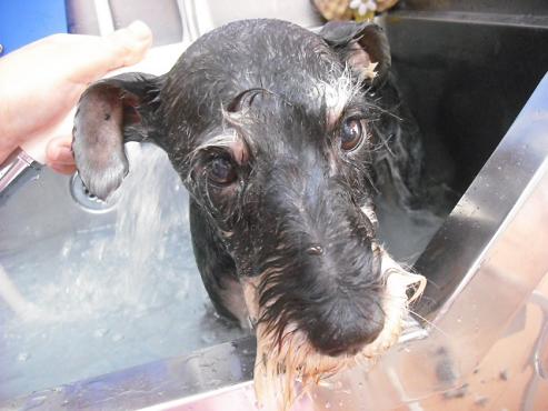 ファイル 9-2.jpg