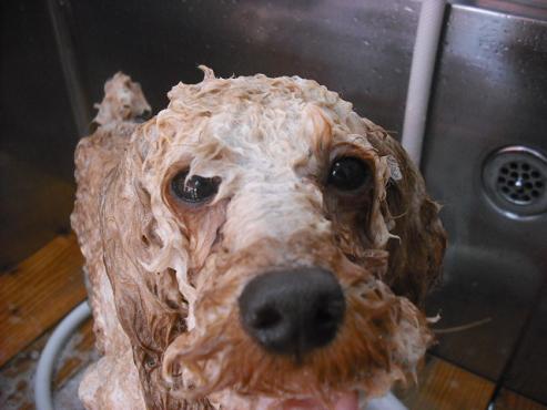 ファイル 90-3.jpg