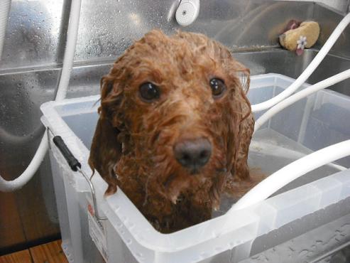 ファイル 900-2.jpg