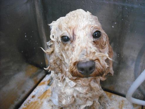 ファイル 901-3.jpg