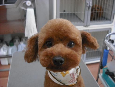 ファイル 902-1.jpg