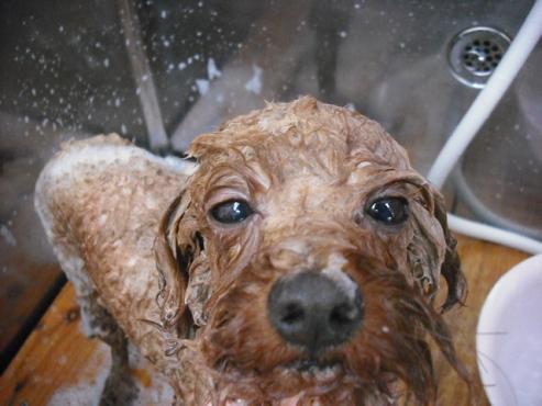 ファイル 902-2.jpg