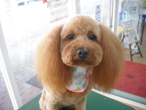 ファイル 903-1.jpg