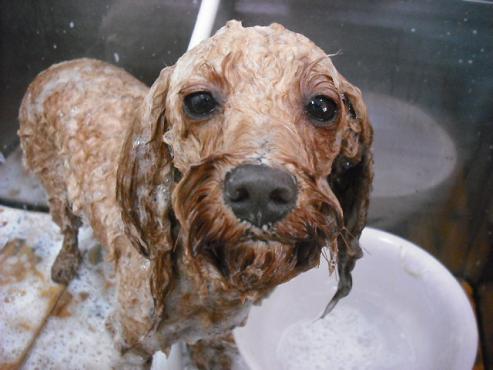 ファイル 903-2.jpg