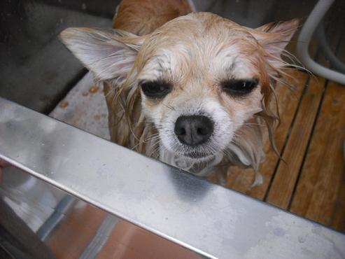 ファイル 904-2.jpg