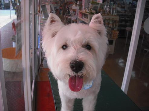 ファイル 905-1.jpg