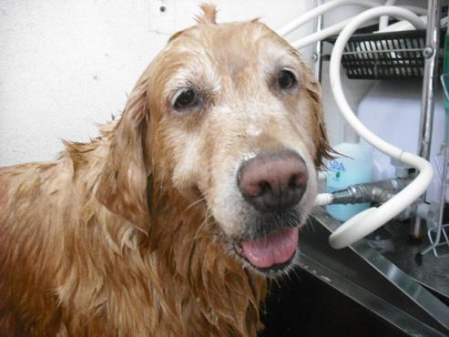 ファイル 906-2.jpg