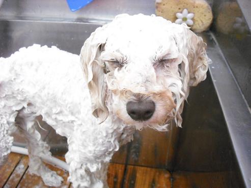 ファイル 907-3.jpg