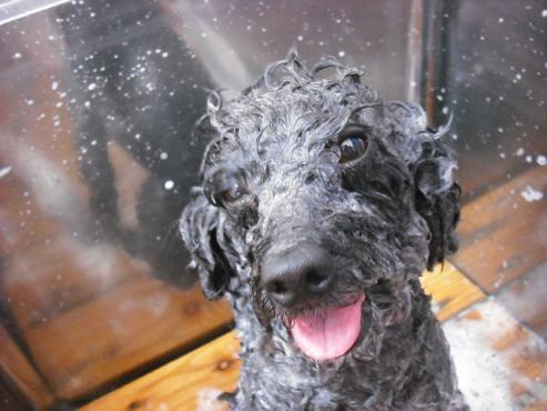 ファイル 908-3.jpg