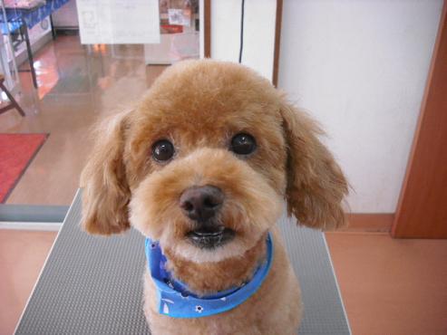 ファイル 909-1.jpg