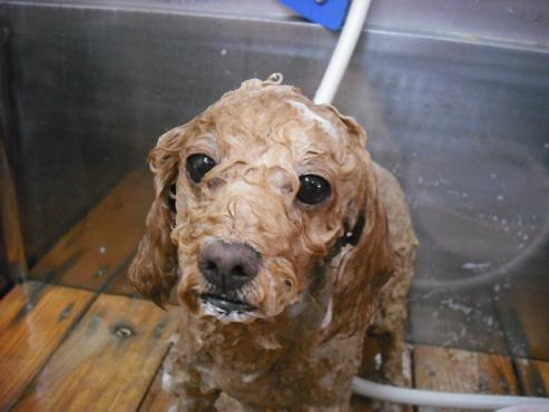 ファイル 909-3.jpg