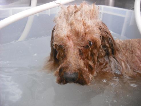 ファイル 91-3.jpg