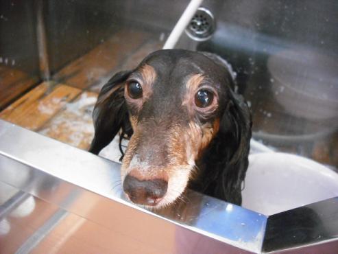 ファイル 910-2.jpg