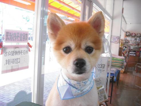 ファイル 912-1.jpg