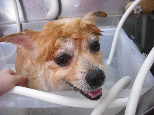 ファイル 912-2.jpg