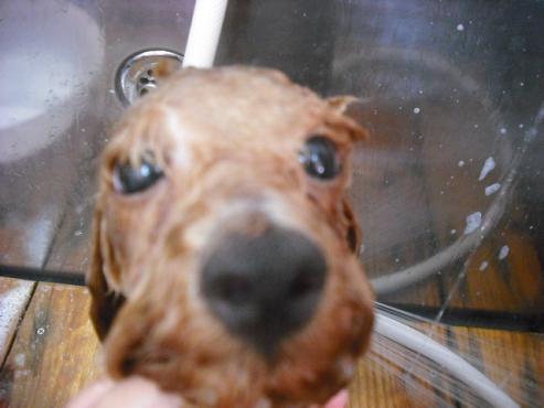 ファイル 913-2.jpg